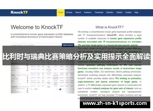 比利时与瑞典比赛策略分析及实用提示全面解读