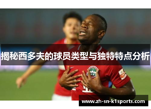 揭秘西多夫的球员类型与独特特点分析